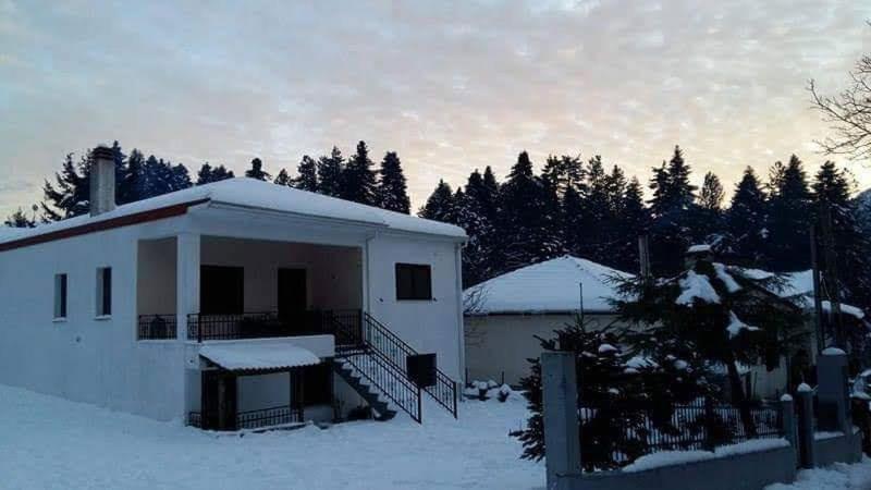 Villa Elati Electra'S Cozy House Exterior foto
