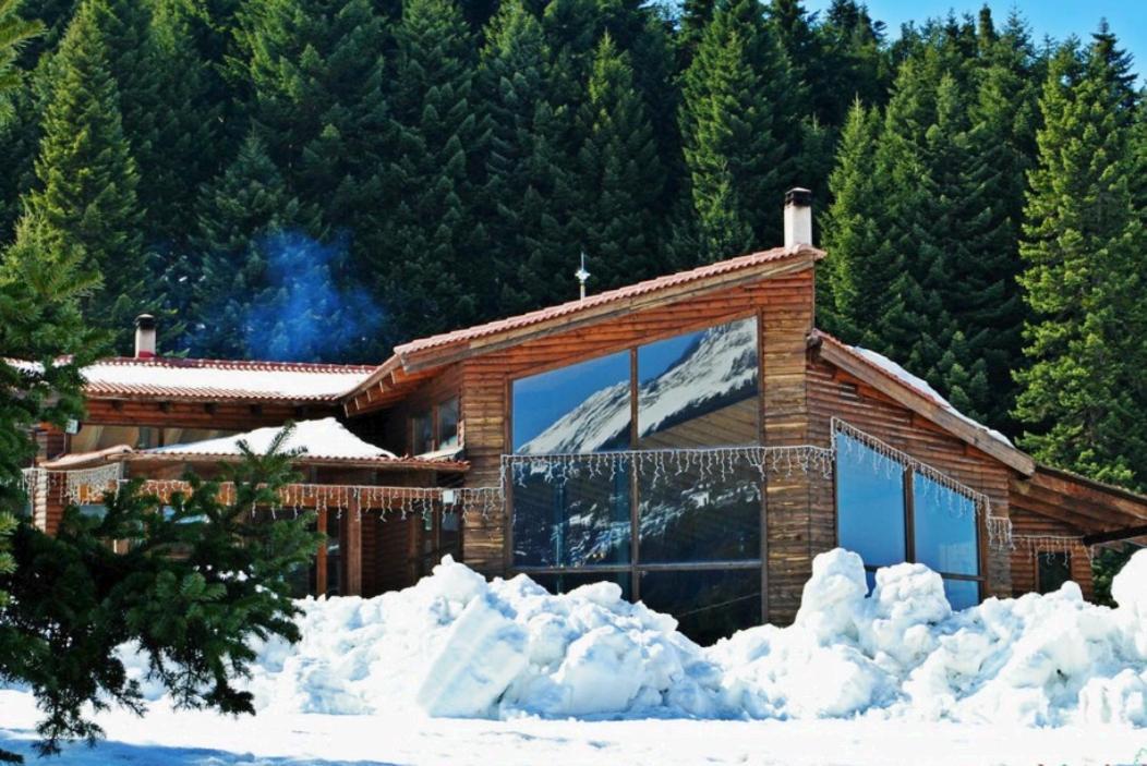 Villa Elati Electra'S Cozy House Exterior foto